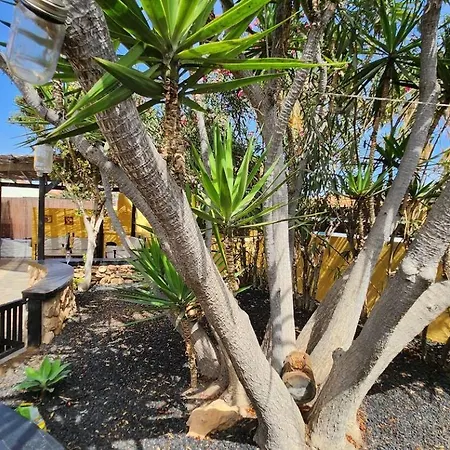 Aurora Mari Your Dream Steps From The Ocean Shore * カレタ・デ・フステ